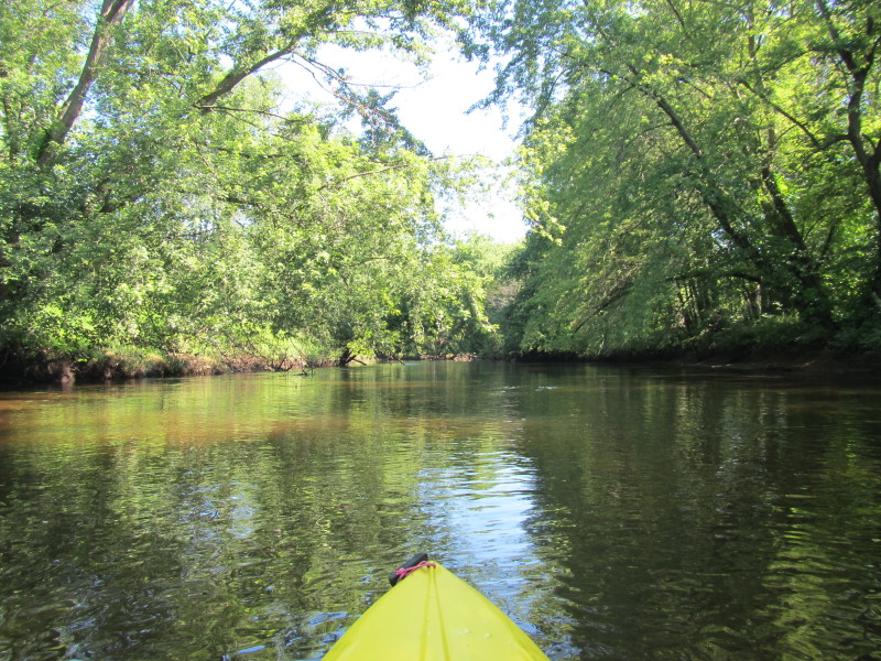 Boston Kayaker: Kayaking on Nashua River - from Route 117 