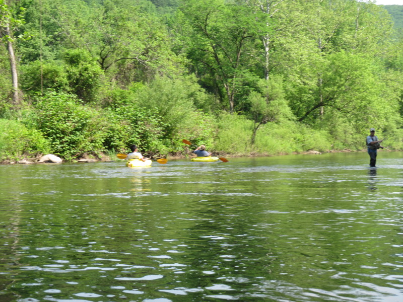 Boston Kayaker: Kayaking on Upper Pine Creek - from Gaines ...